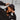 74962_13313_3|2b66663212d375684778c734a70fb83a