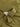 78242_14739_2|595c1053226509c9988f43b807f5c471