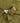 78242_14739_2|595c1053226509c9988f43b807f5c471