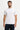 81374_14810|64d6a305fd5468a9087d11555a63ed69